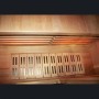 Sol chauffant + caillebotis bois pour modèle Sauna Diffusion 150
